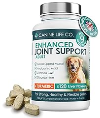 Enhanced adult dog for sale  Delivered anywhere in UK