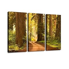 Dirt road redwood for sale  Delivered anywhere in USA 