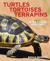 Turtles tortoises terrapins for sale  Delivered anywhere in USA 
