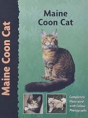 Main coon cat d'occasion  Livré partout en Belgiqu