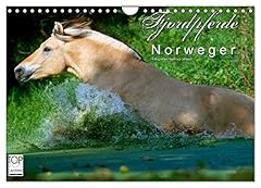 Fjordpferde norweger d'occasion  Livré partout en France