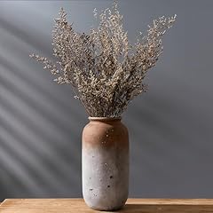 Vaseking ceramic farmhouse for sale  Delivered anywhere in USA 