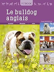 bulldog anglais d'occasion  Livré partout en France