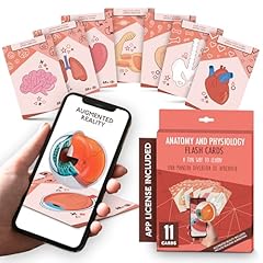 Anatomy flash cards for sale  Delivered anywhere in USA 