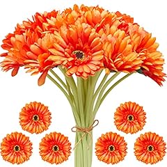 Pcs orange gerbera for sale  Delivered anywhere in USA 