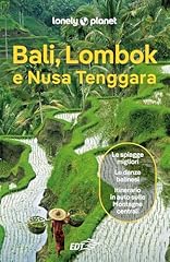 Bali lombok nusa usato  Spedito ovunque in Italia 