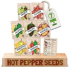 Sustainable sprout hot for sale  Delivered anywhere in USA 