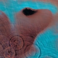 Meddle usato  Spedito ovunque in Italia 