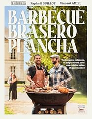 Barbecue brasero plancha d'occasion  Livré partout en France