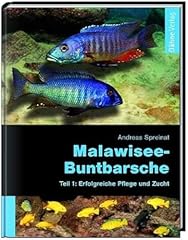 Malawisee buntbarsche teil gebraucht kaufen  Wird an jeden Ort in Deutschland