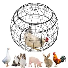 Sovipal portable chicken for sale  Delivered anywhere in USA 