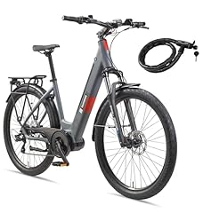 Telefunken bike zoll gebraucht kaufen  Wird an jeden Ort in Deutschland