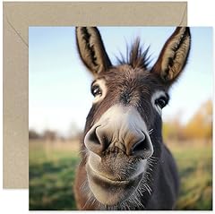 Fun birthday cards for sale  Delivered anywhere in UK