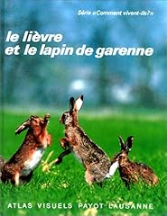 Lievre lapin garenne d'occasion  Livré partout en Belgiqu