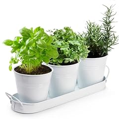 Hiceeden set herb for sale  Delivered anywhere in USA 