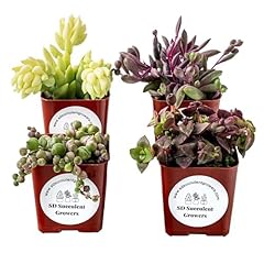 Live trailing mystery for sale  Delivered anywhere in USA 