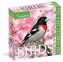 Audubon birds page for sale  Delivered anywhere in UK