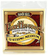 Ernie ball earthwood gebraucht kaufen  Wird an jeden Ort in Deutschland