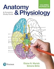 Anatomy physiology coloring for sale  Delivered anywhere in USA 