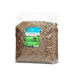 Wormsking 5lb dried for sale  Delivered anywhere in USA 