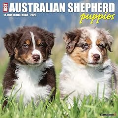 Australian shepherd puppies for sale  Delivered anywhere in USA 