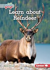 Learn reindeer for sale  Delivered anywhere in USA 
