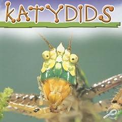 Katydids for sale  Delivered anywhere in UK
