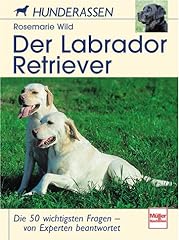 Labrador retriever wichtigsten gebraucht kaufen  Wird an jeden Ort in Deutschland
