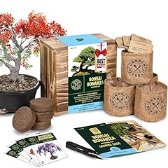 Bonsai tree seed for sale  Delivered anywhere in USA 