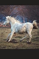 Arabian horse running for sale  Delivered anywhere in USA 