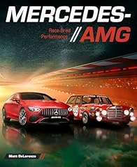 Mercedes amg race usato  Spedito ovunque in Italia 