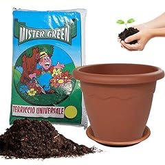 Sicignano vaso vulcano usato  Spedito ovunque in Italia 