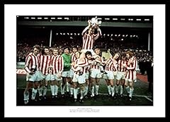 Framed stoke city for sale  Delivered anywhere in UK
