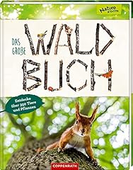 Große waldbuch entdecke gebraucht kaufen  Wird an jeden Ort in Deutschland