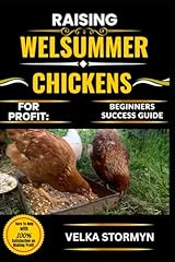 Raising welsummer chickens for sale  Delivered anywhere in UK