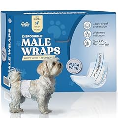 Comfortable male dog for sale  Delivered anywhere in USA 