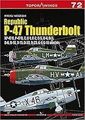 Republic thunderbolt 47b for sale  Delivered anywhere in UK
