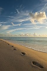 Posterazzi footsteps brighton for sale  Delivered anywhere in USA 