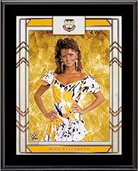 Miss elizabeth wwe for sale  Delivered anywhere in USA 