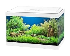 Ciano aqua aquarium for sale  Delivered anywhere in UK