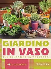 Giardino vaso sul usato  Spedito ovunque in Italia 