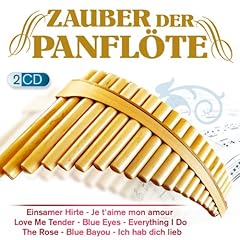 Zauber panflöte instrumental gebraucht kaufen  Wird an jeden Ort in Deutschland