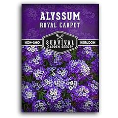 Pack royal carpet for sale  Delivered anywhere in USA 