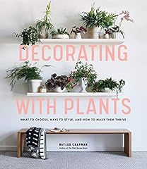 Decorating plants choose for sale  Delivered anywhere in USA 