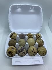 Fertile coturnix quail for sale  Delivered anywhere in USA 