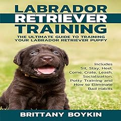 Labrador retriever training for sale  Delivered anywhere in USA 