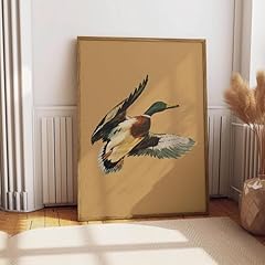 Ozcono vintage flying for sale  Delivered anywhere in USA 