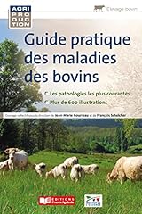 Guide pratique maladies d'occasion  Livré partout en France