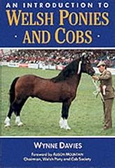 Introduction welsh ponies for sale  Delivered anywhere in UK