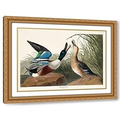 Audubon john james for sale  Delivered anywhere in USA 